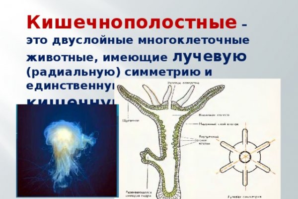 Ссылка на кракена для тора