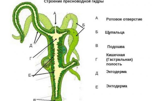 Как зайти в кракен с айфона