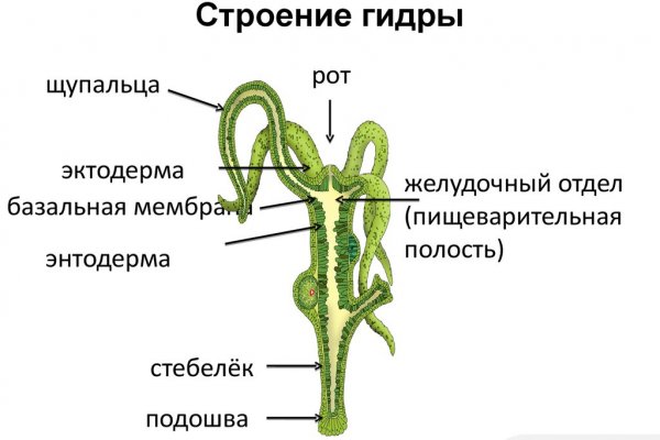 Кракен вход на сайт