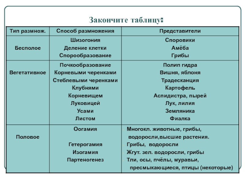 Переход на кракен