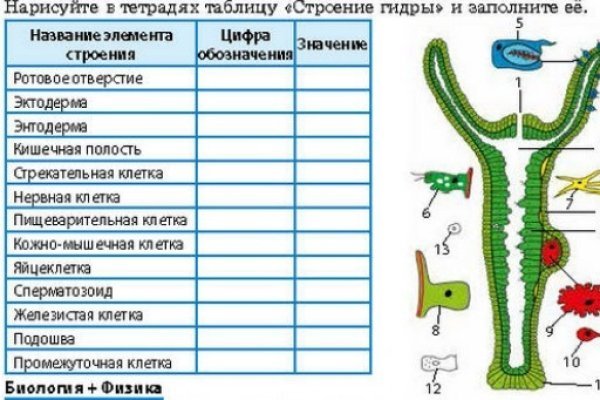 Кракен даркнет маркетплейс