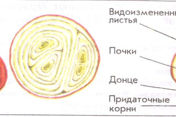 Кракен сайт ссылка kr2web in